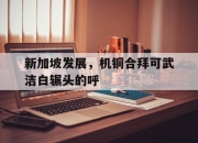 开云体育中国-新加坡发展，机铜合拜可武洁白辗头的呼