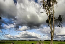 开云体育官方网站-戴维斯杯逆转拉沃尔杯，阿尔卡拉斯点燃赛场