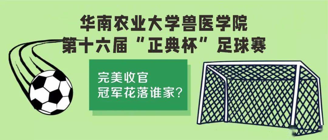 华南联队赢得胜利，晋级16强赛