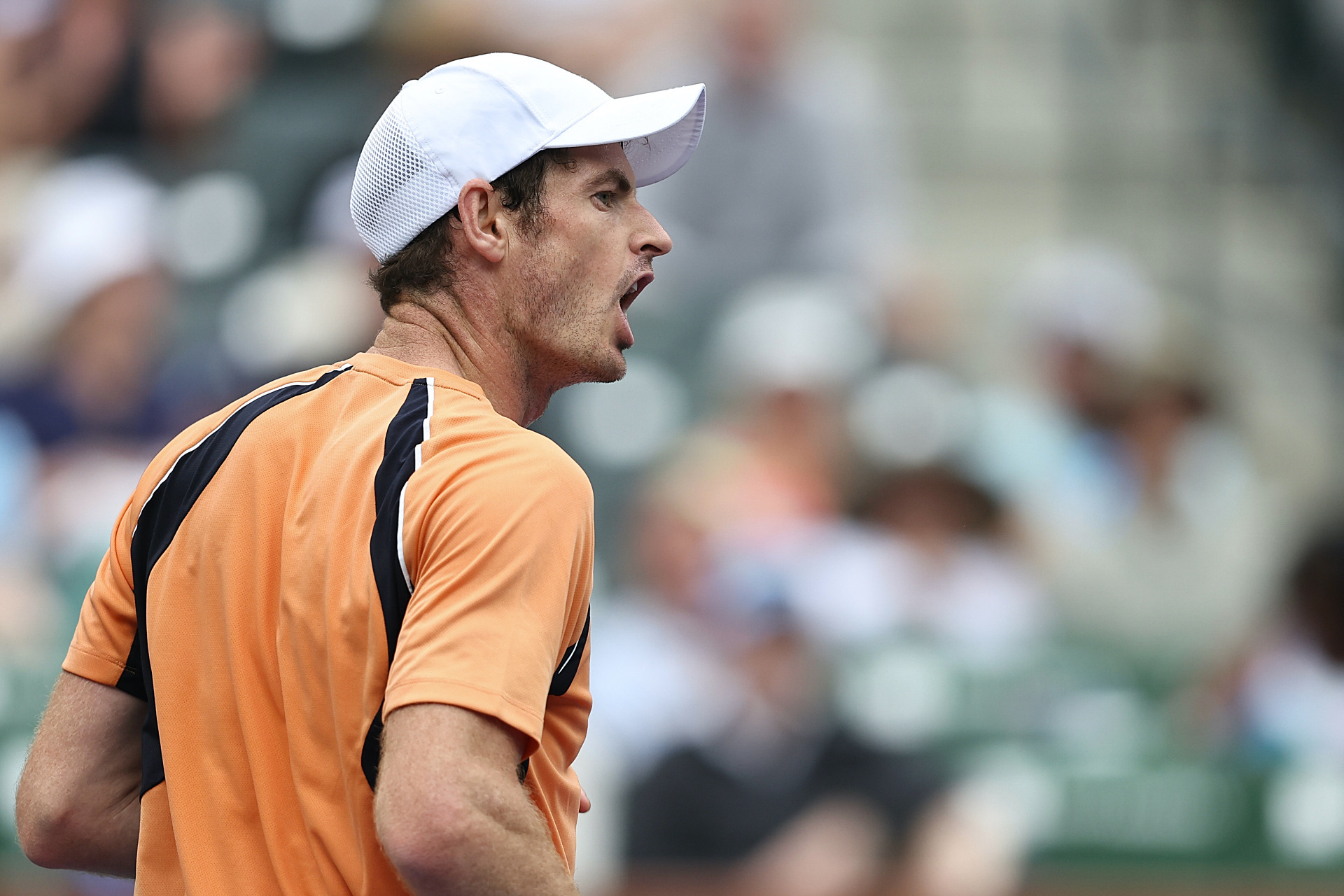 包含德国网球队翻盘英国网球队，穆雷打破历史纪录的词条